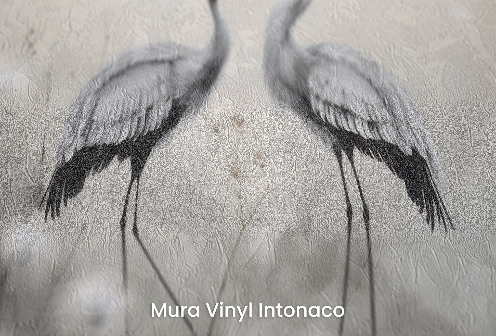 Zbliżenie na artystyczną fototapetę o nazwie Dandelion Wishes na podłożu Mura Vinyl Intonaco - struktura tartego tynku.