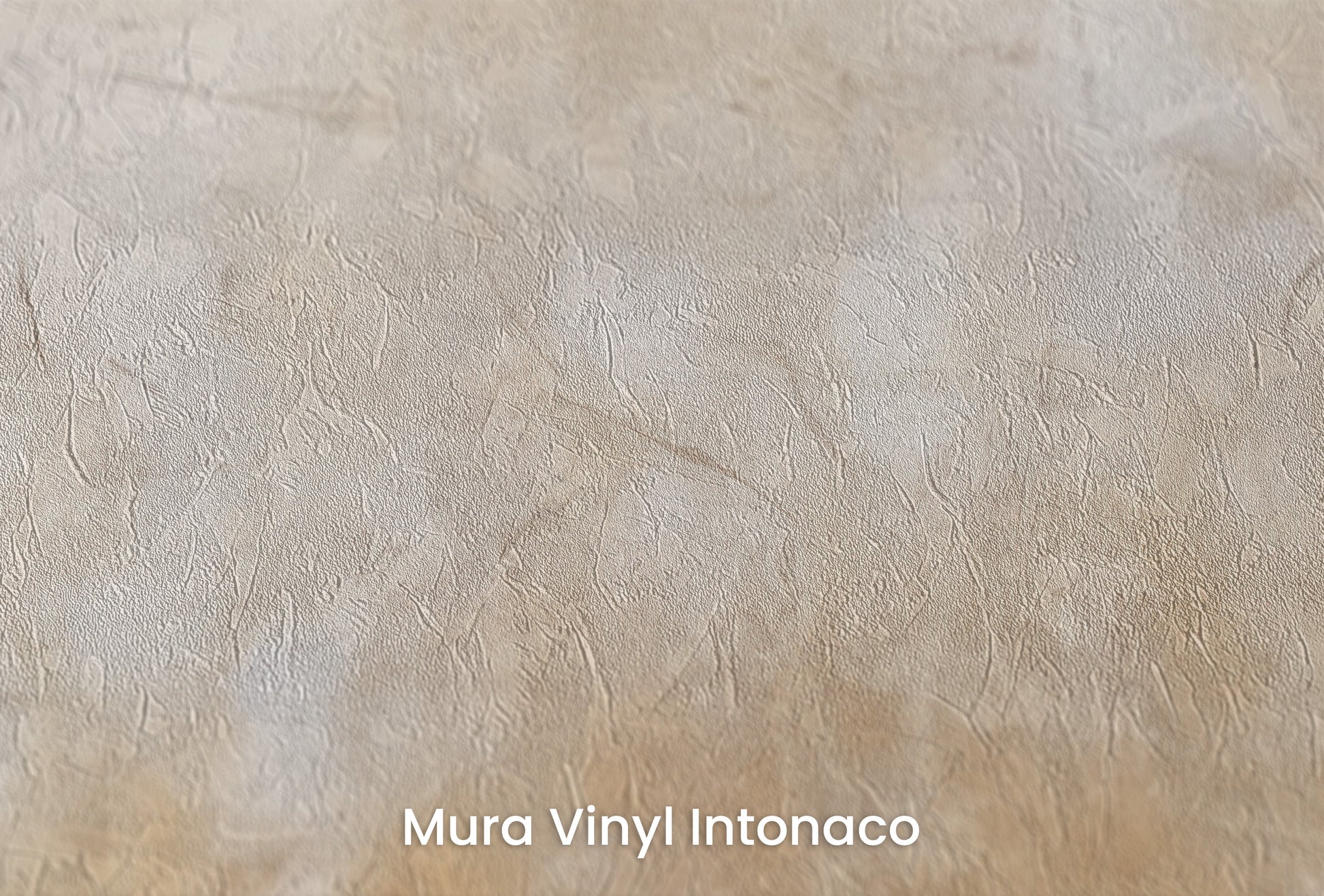 Zbliżenie na artystyczną fototapetę o nazwie RUSTIC GILDED PATINA na podłożu Mura Vinyl Intonaco - struktura tartego tynku.