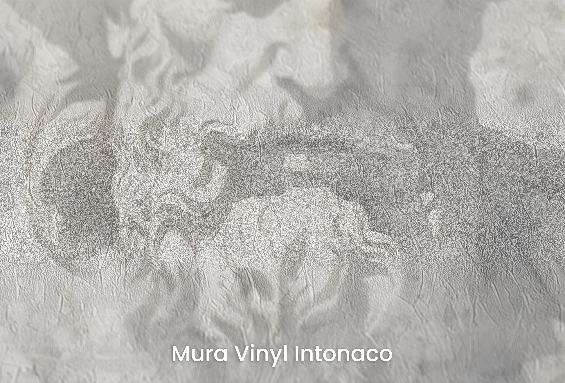 Zbliżenie na artystyczną fototapetę o nazwie Mythical Echoes na podłożu Mura Vinyl Intonaco - struktura tartego tynku.