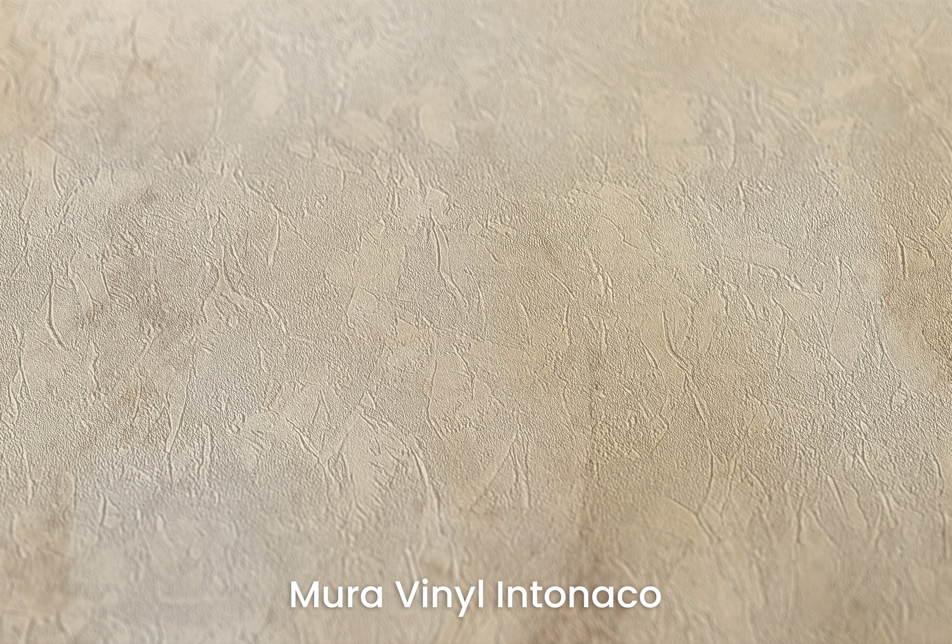 Zbliżenie na artystyczną fototapetę o nazwie ANTIQUE IVORY VEIL na podłożu Mura Vinyl Intonaco - struktura tartego tynku.