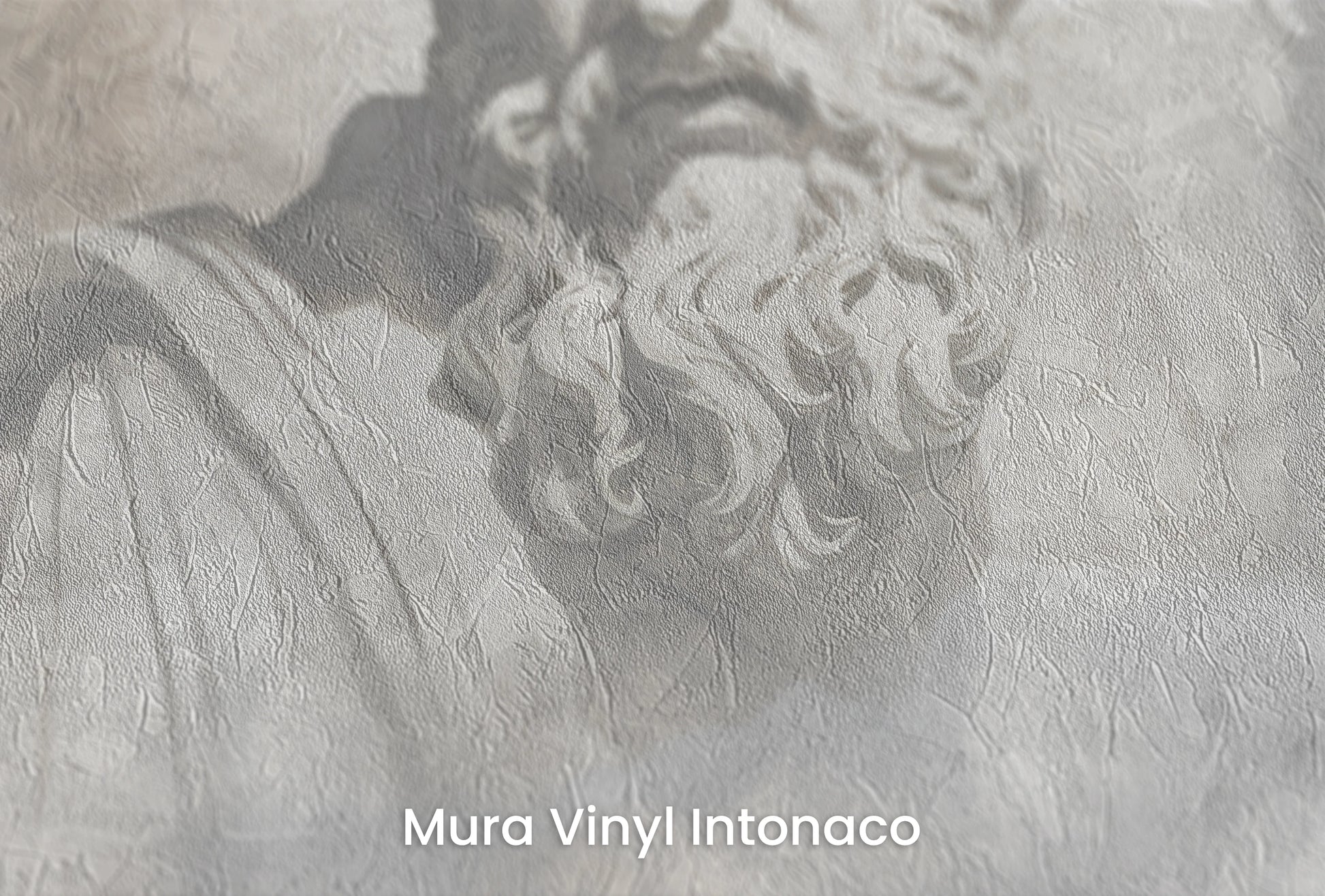 Zbliżenie na artystyczną fototapetę o nazwie Divine Whispers na podłożu Mura Vinyl Intonaco - struktura tartego tynku.