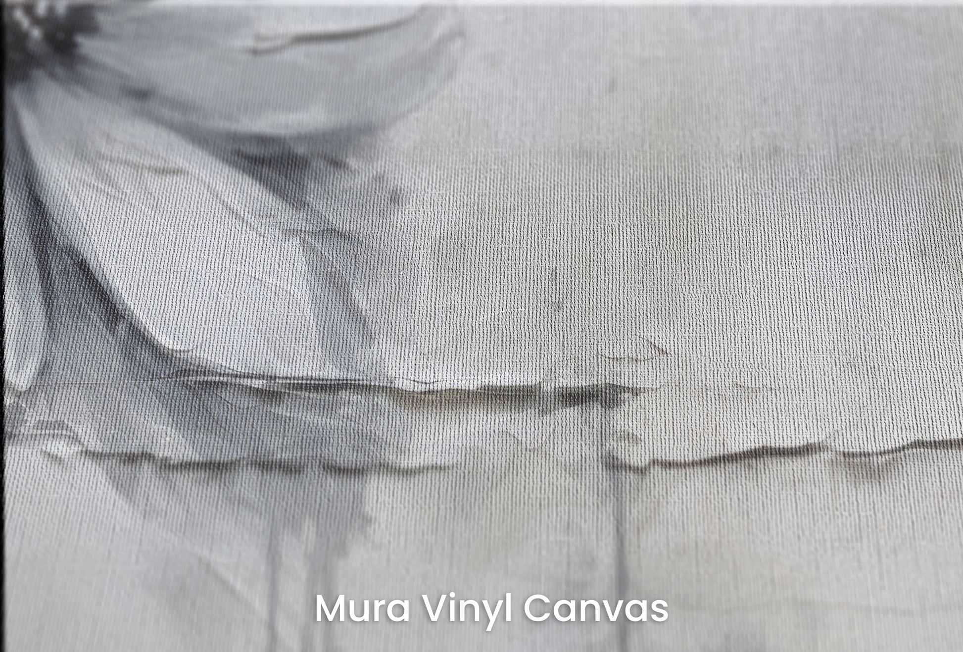 Zbliżenie na artystyczną fototapetę o nazwie SILVER BLOSSOM ABSTRACT na podłożu Mura Vinyl Canvas - faktura naturalnego płótna.