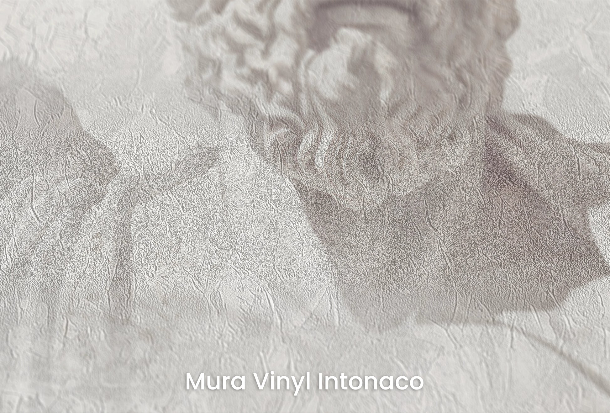 Zbliżenie na artystyczną fototapetę o nazwie Stoic Wisdom Revisited na podłożu Mura Vinyl Intonaco - struktura tartego tynku.