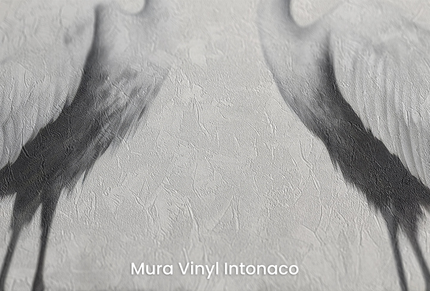 Zbliżenie na artystyczną fototapetę o nazwie Gentle Gaze na podłożu Mura Vinyl Intonaco - struktura tartego tynku.