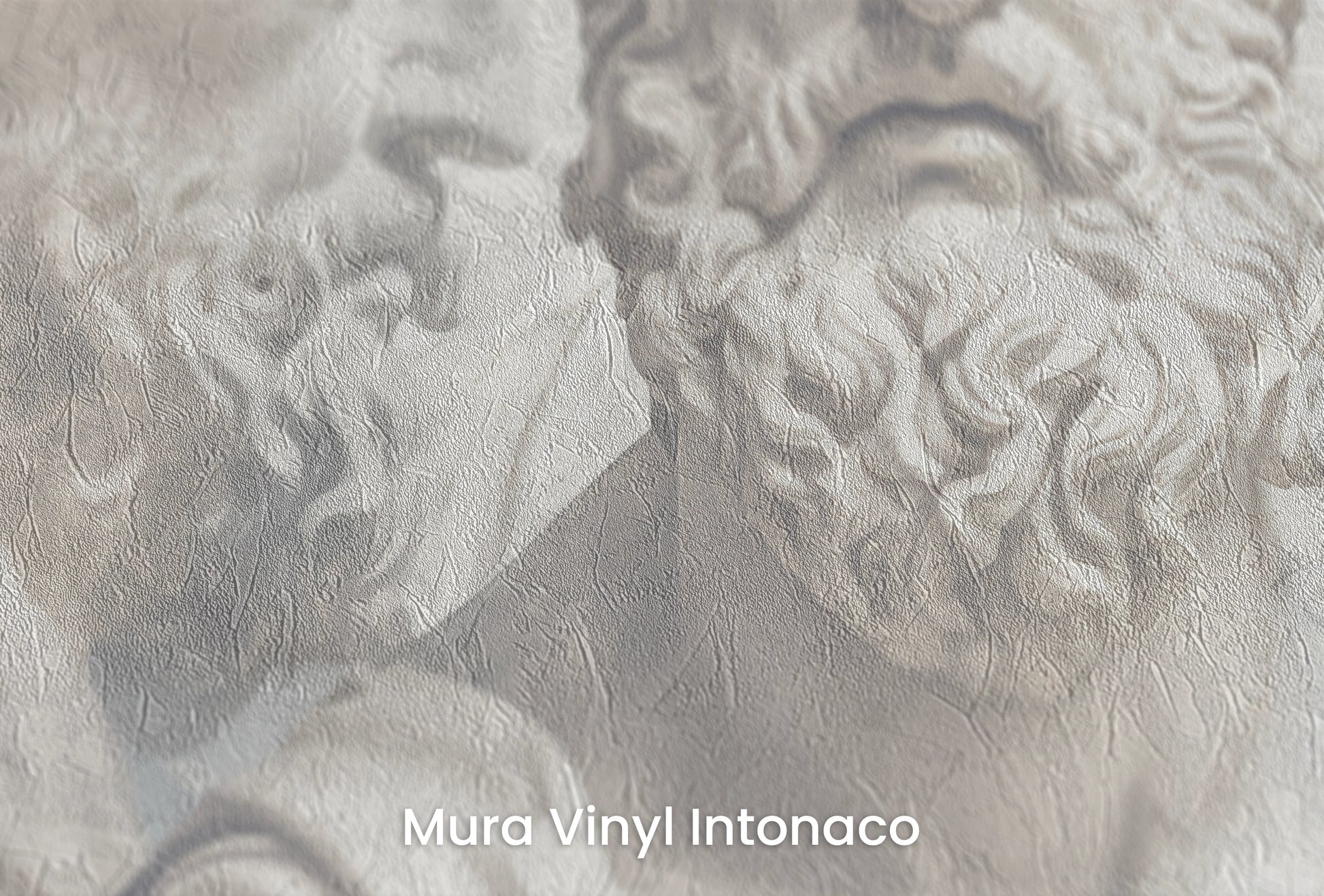 Zbliżenie na artystyczną fototapetę o nazwie Philosopher's Profile na podłożu Mura Vinyl Intonaco - struktura tartego tynku.