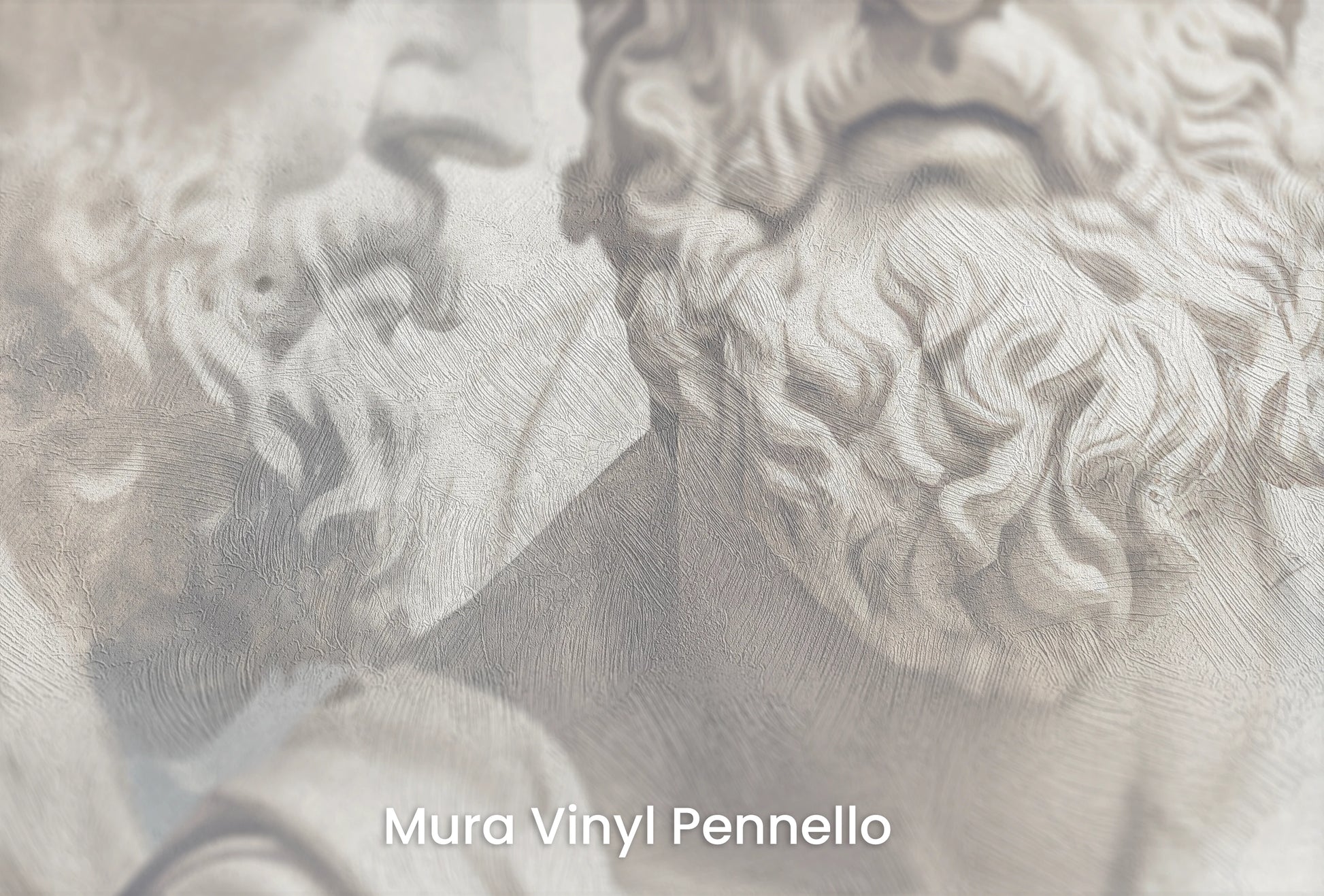 Zbliżenie na artystyczną fototapetę o nazwie Philosopher's Profile na podłożu Mura Vinyl Pennello - faktura pociągnięć pędzla malarskiego.