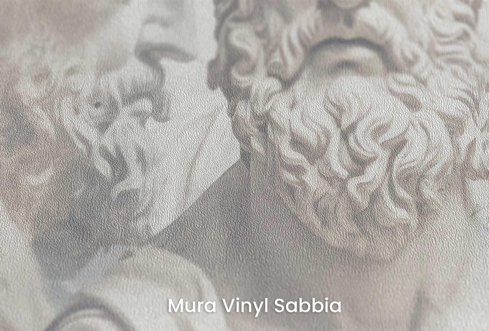 Zbliżenie na artystyczną fototapetę o nazwie Philosopher's Profile na podłożu Mura Vinyl Sabbia struktura grubego ziarna piasku.