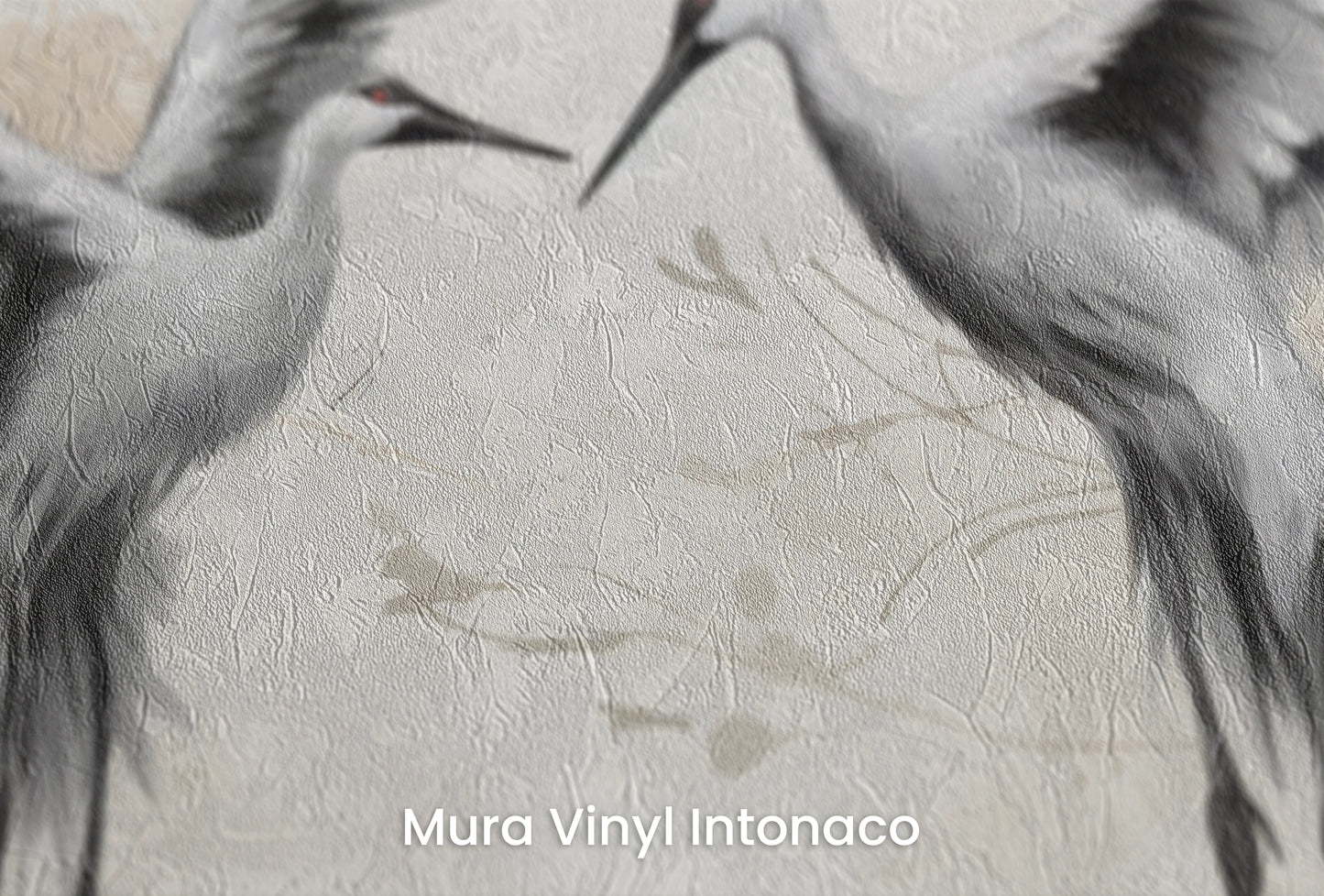 Zbliżenie na artystyczną fototapetę o nazwie Vital Dance na podłożu Mura Vinyl Intonaco - struktura tartego tynku.