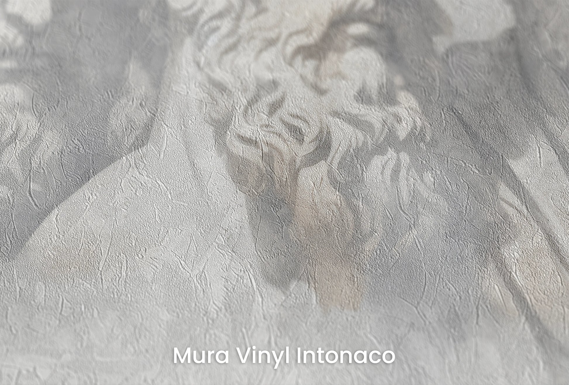 Zbliżenie na artystyczną fototapetę o nazwie Wisdom in the Shadows na podłożu Mura Vinyl Intonaco - struktura tartego tynku.