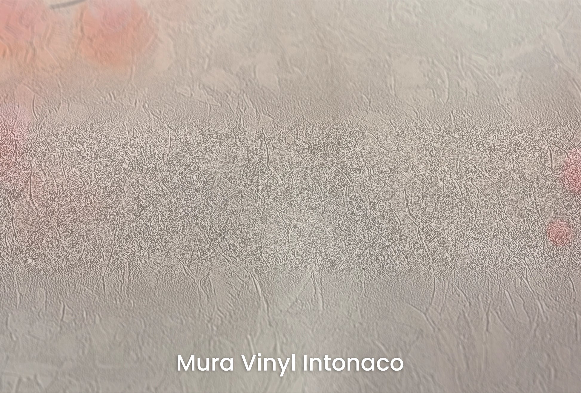 Zbliżenie na artystyczną fototapetę o nazwie Berry Mist na podłożu Mura Vinyl Intonaco - struktura tartego tynku.