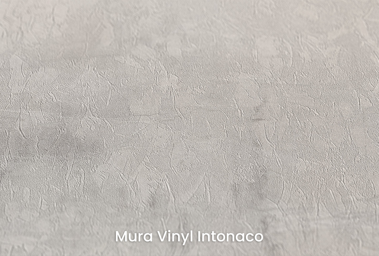 Zbliżenie na artystyczną fototapetę o nazwie MONOCHROME MIST na podłożu Mura Vinyl Intonaco - struktura tartego tynku.
