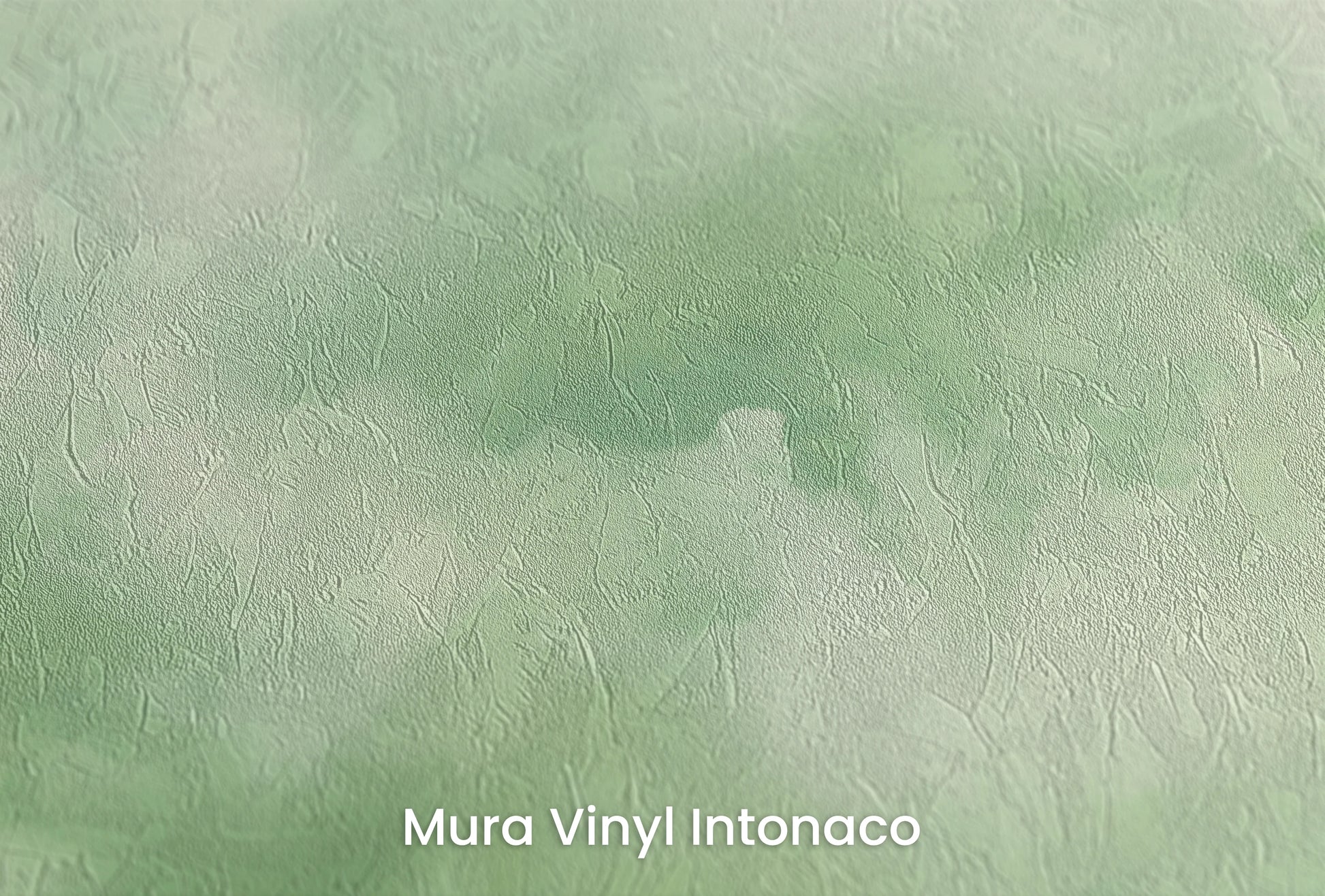 Zbliżenie na artystyczną fototapetę o nazwie Mint Serenity na podłożu Mura Vinyl Intonaco - struktura tartego tynku.