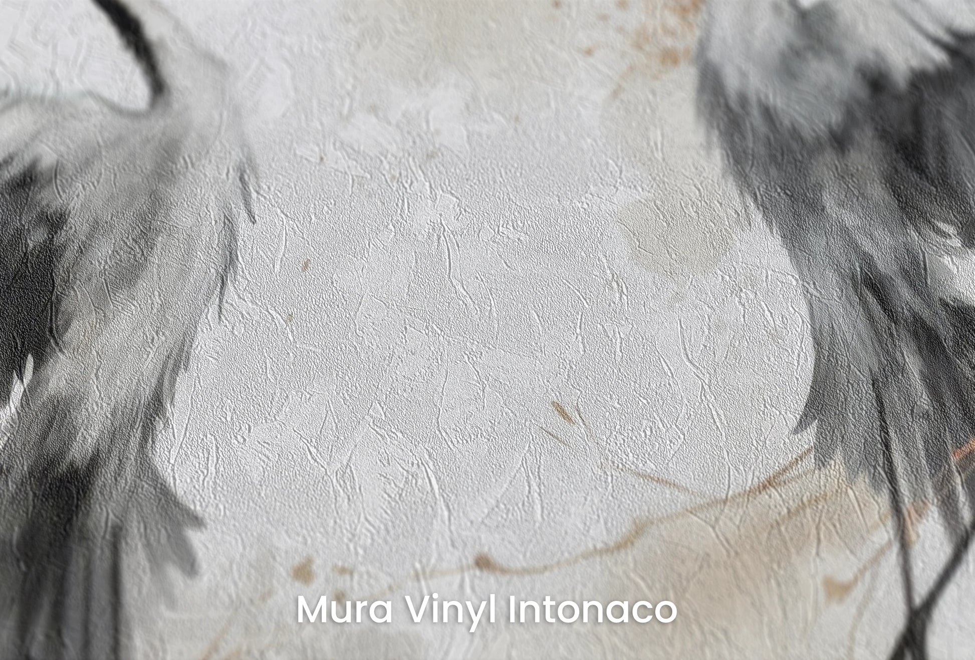 Zbliżenie na artystyczną fototapetę o nazwie Wings of Freedom na podłożu Mura Vinyl Intonaco - struktura tartego tynku.