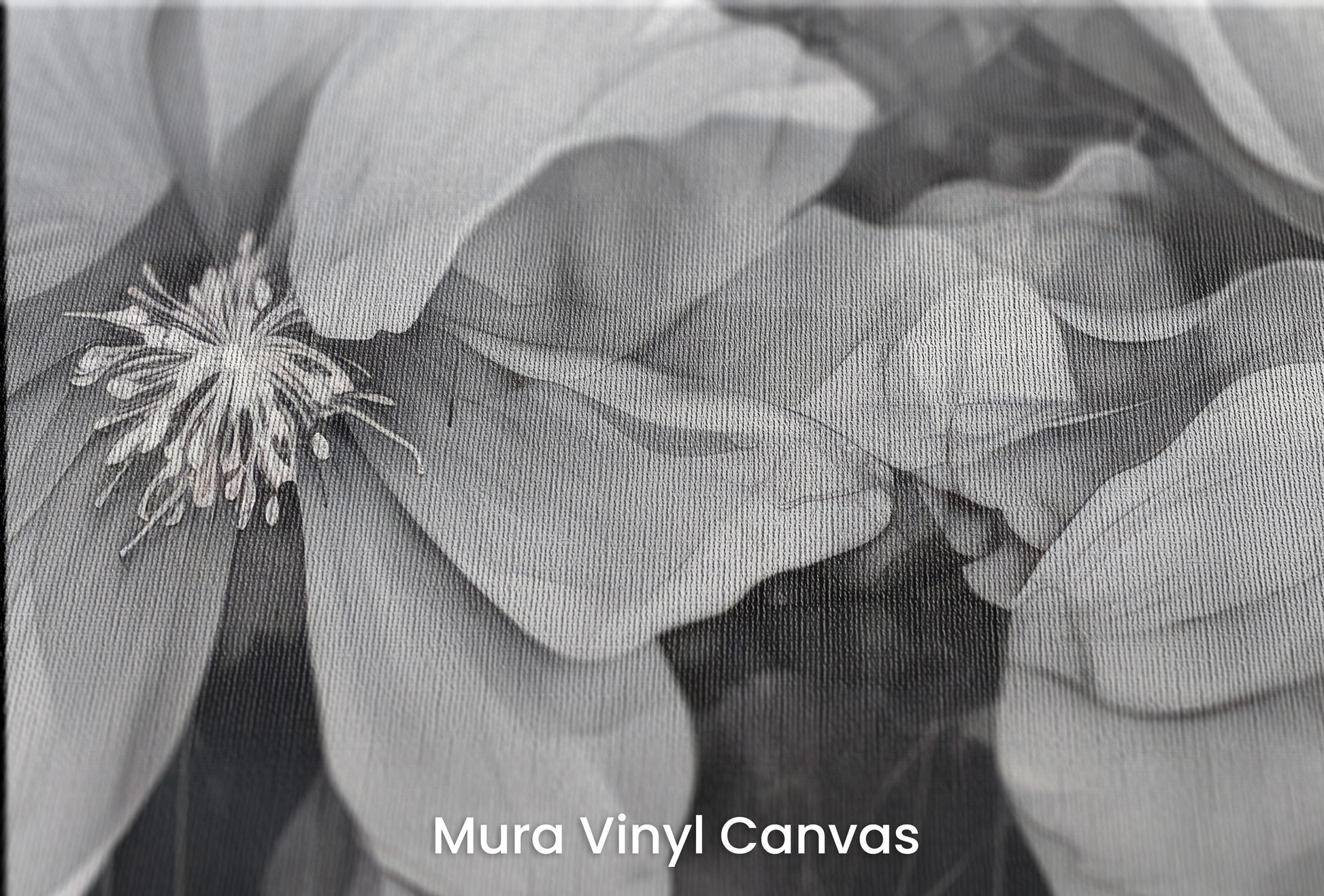 Zbliżenie na artystyczną fototapetę o nazwie CHARCOAL FLORAL CASCADE na podłożu Mura Vinyl Canvas - faktura naturalnego płótna.