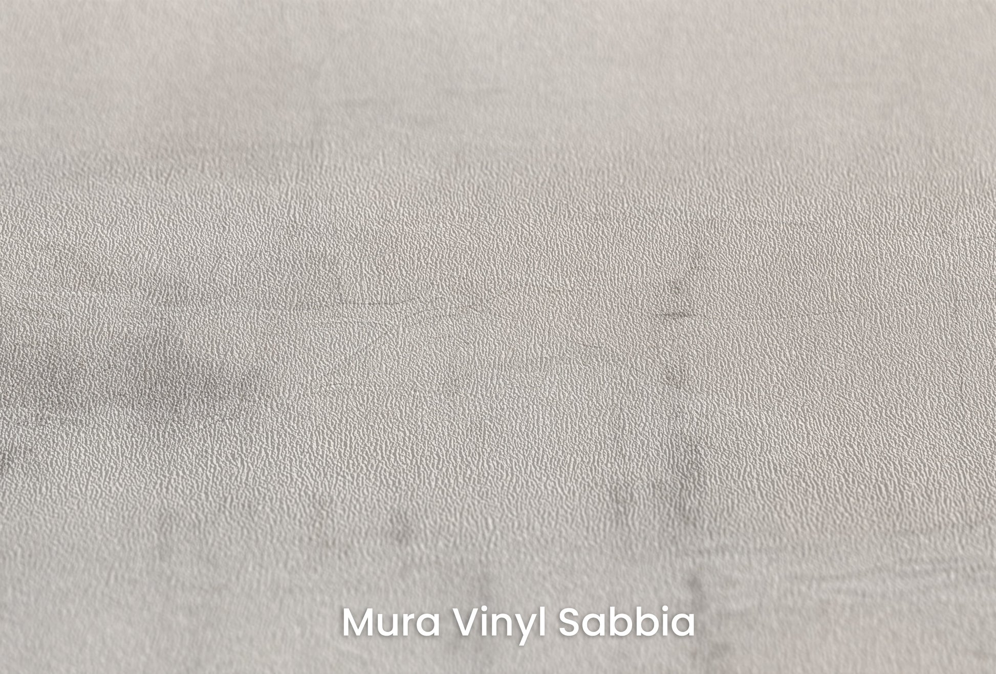 Zbliżenie na artystyczną fototapetę o nazwie MONOCHROME MIST na podłożu Mura Vinyl Sabbia struktura grubego ziarna piasku.