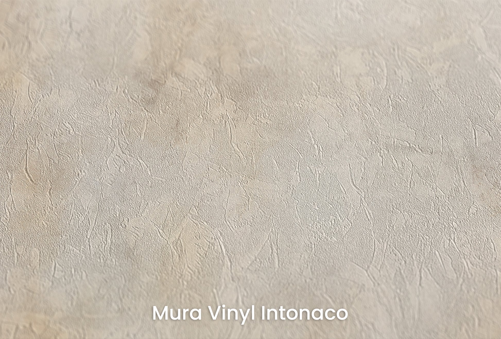 Zbliżenie na artystyczną fototapetę o nazwie VINTAGE PARCHMENT WHISPERS na podłożu Mura Vinyl Intonaco - struktura tartego tynku.