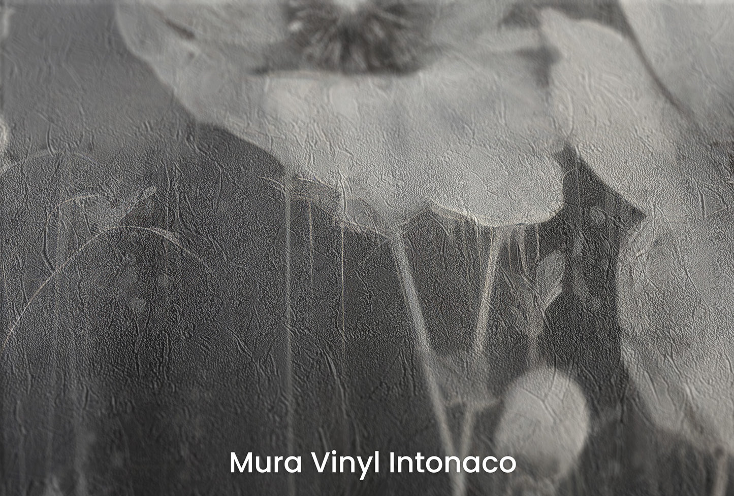 Zbliżenie na artystyczną fototapetę o nazwie NOIR FLORAL WHISPER na podłożu Mura Vinyl Intonaco - struktura tartego tynku.