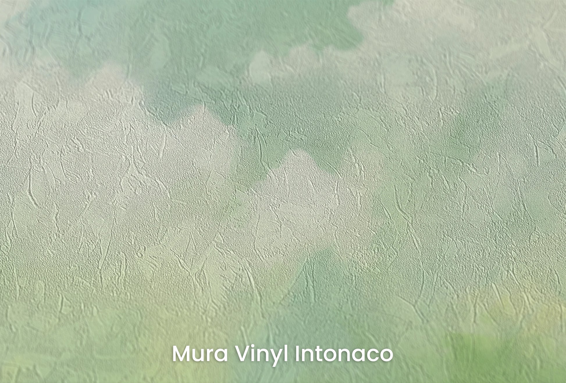 Zbliżenie na artystyczną fototapetę o nazwie Spring Awakening na podłożu Mura Vinyl Intonaco - struktura tartego tynku.