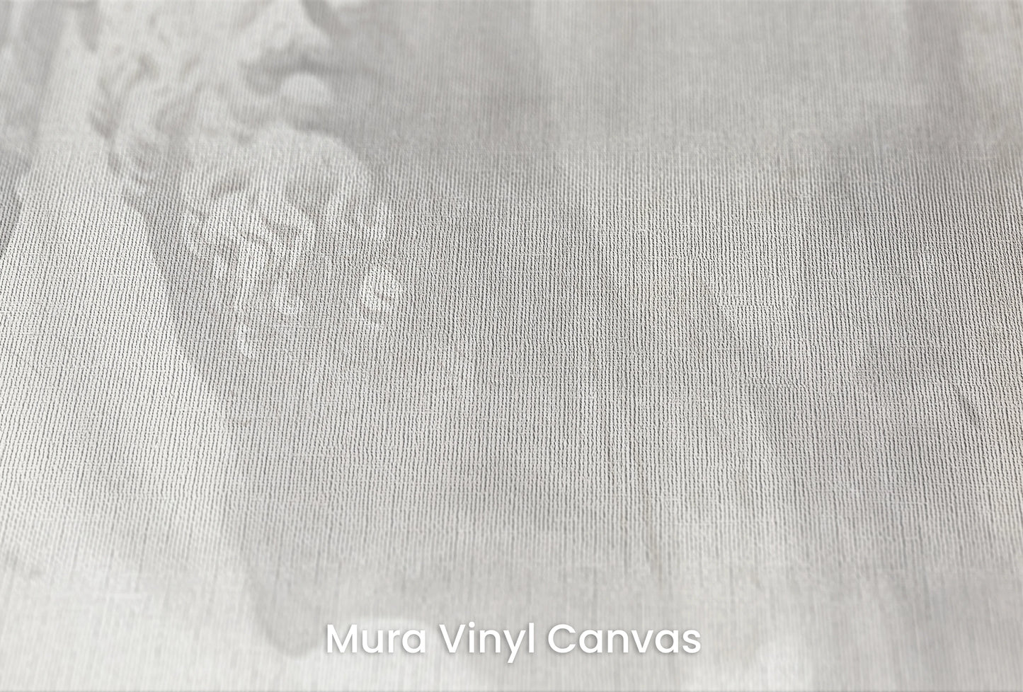 Zbliżenie na artystyczną fototapetę o nazwie Stoic Duo na podłożu Mura Vinyl Canvas - faktura naturalnego płótna.