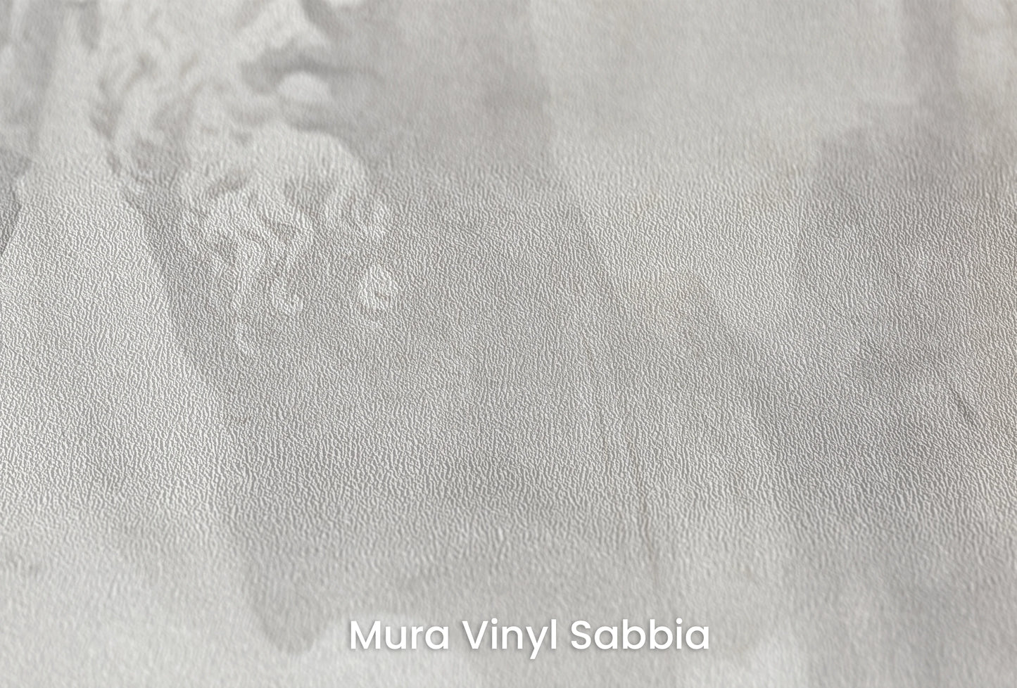 Zbliżenie na artystyczną fototapetę o nazwie Stoic Duo na podłożu Mura Vinyl Sabbia struktura grubego ziarna piasku.