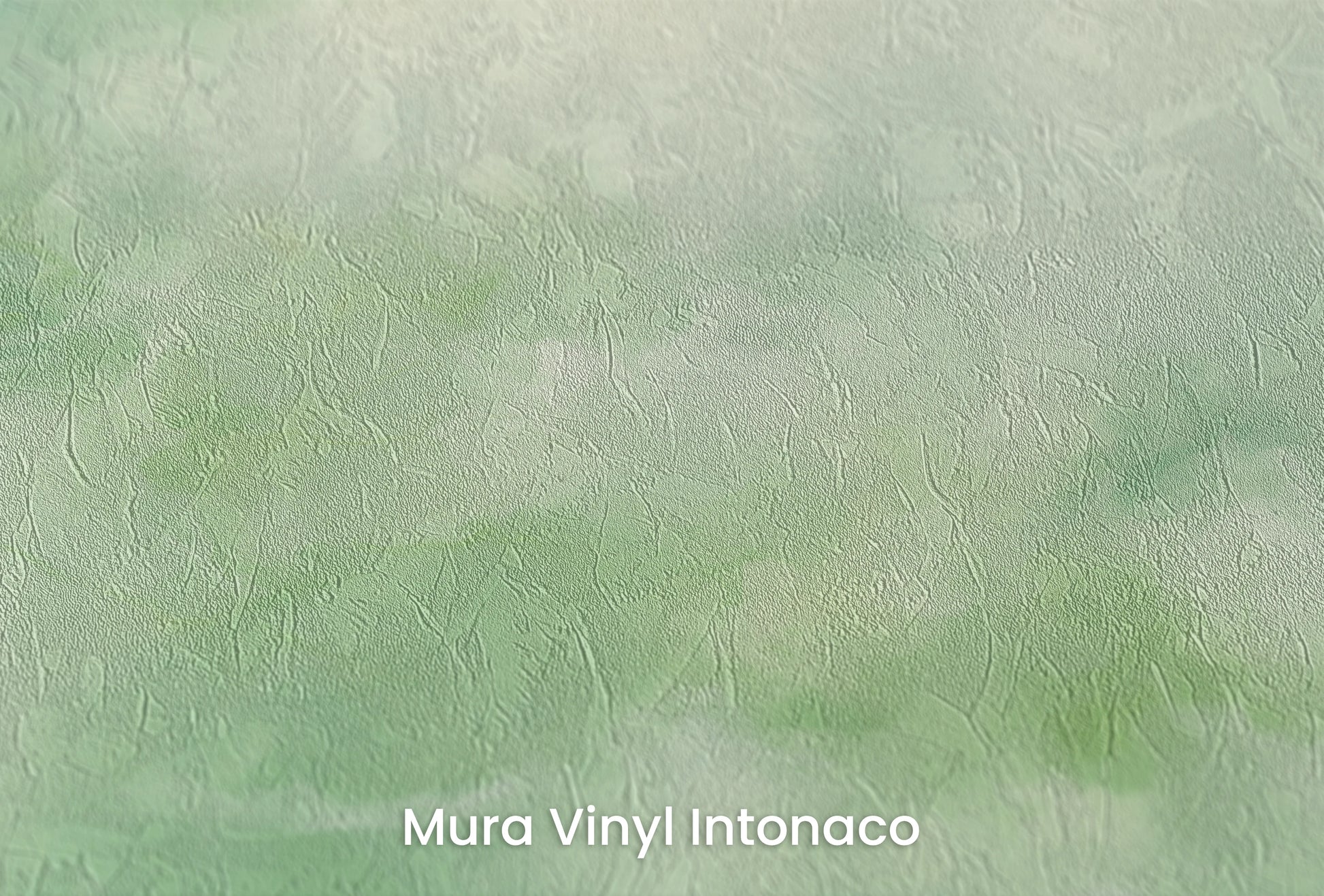 Zbliżenie na artystyczną fototapetę o nazwie Serene Reflection na podłożu Mura Vinyl Intonaco - struktura tartego tynku.