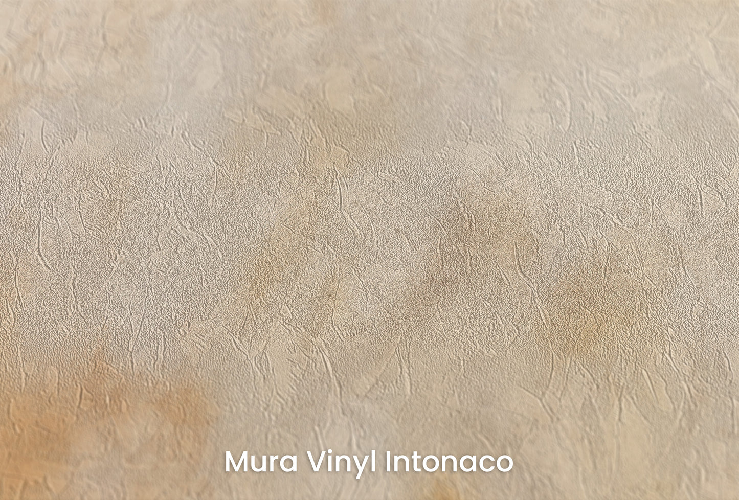 Zbliżenie na artystyczną fototapetę o nazwie ARCHAIC MAP OF DREAMS na podłożu Mura Vinyl Intonaco - struktura tartego tynku.