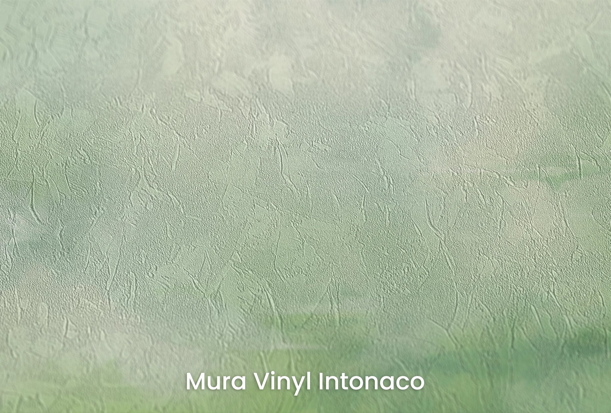 Zbliżenie na artystyczną fototapetę o nazwie Storm Herald na podłożu Mura Vinyl Intonaco - struktura tartego tynku.