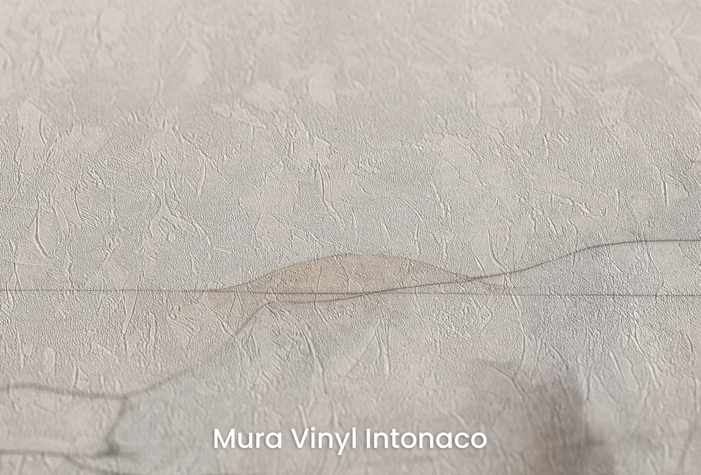 Zbliżenie na artystyczną fototapetę o nazwie ETHEREAL CARTOGRAPHY na podłożu Mura Vinyl Intonaco - struktura tartego tynku.