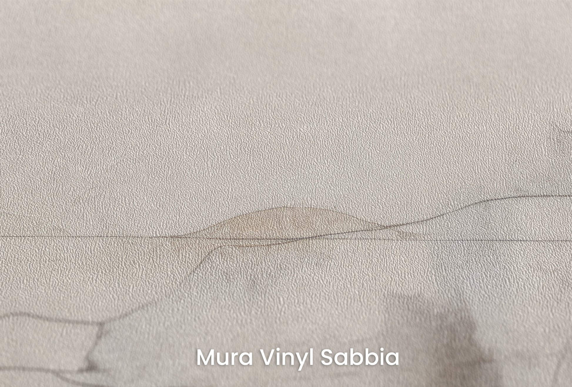 Zbliżenie na artystyczną fototapetę o nazwie ETHEREAL CARTOGRAPHY na podłożu Mura Vinyl Sabbia struktura grubego ziarna piasku.