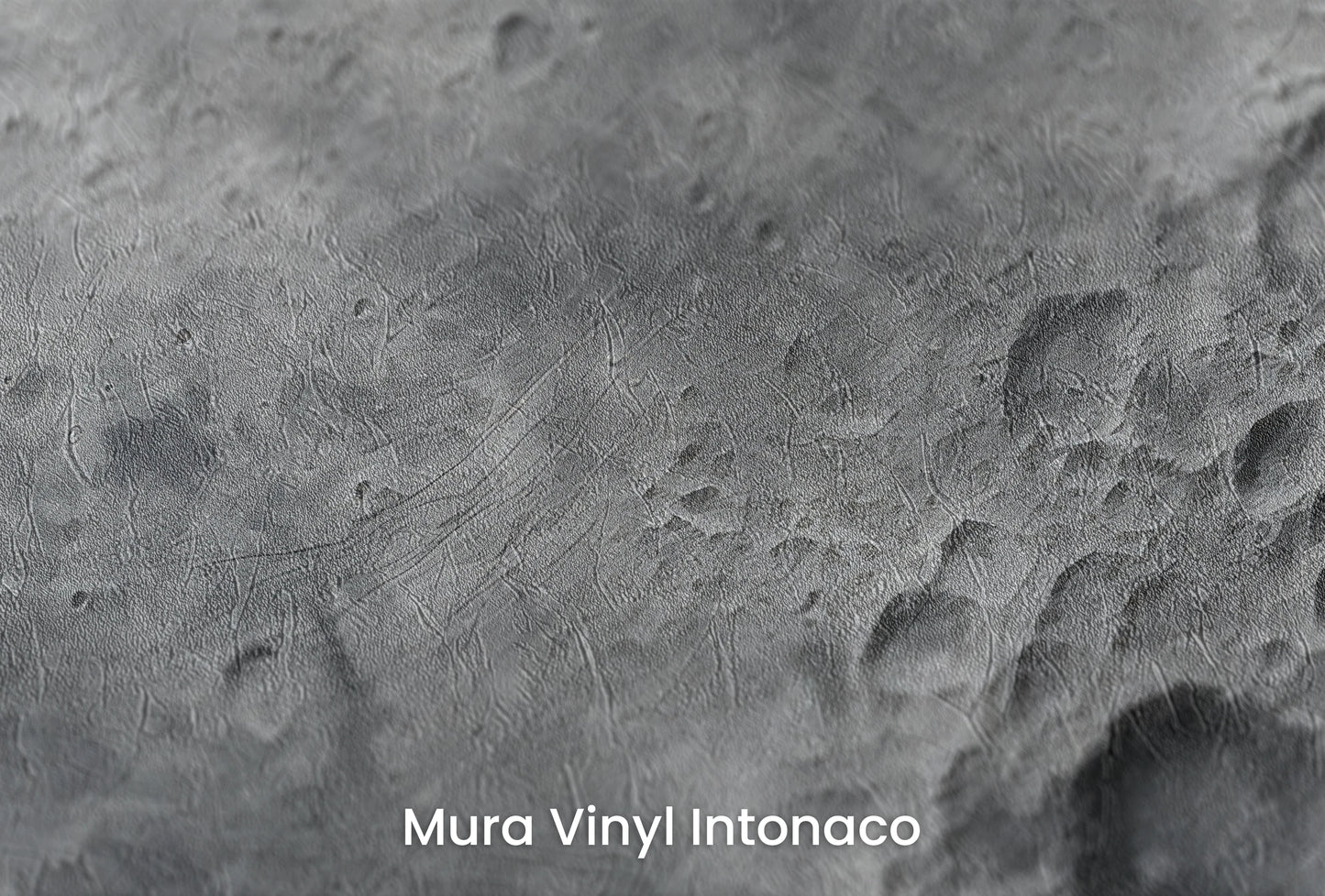 Zbliżenie na artystyczną fototapetę o nazwie Lunar Detail na podłożu Mura Vinyl Intonaco - struktura tartego tynku.