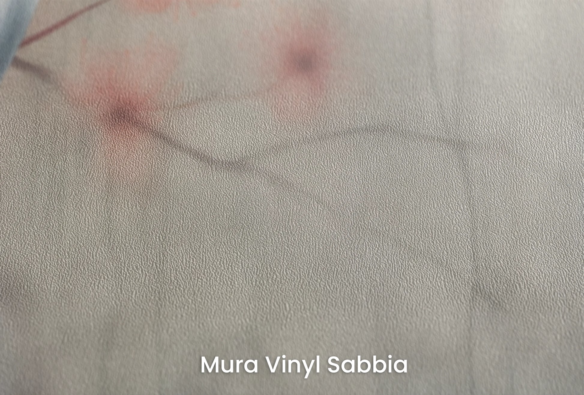 Zbliżenie na artystyczną fototapetę o nazwie Peaceful Heron na podłożu Mura Vinyl Sabbia struktura grubego ziarna piasku.