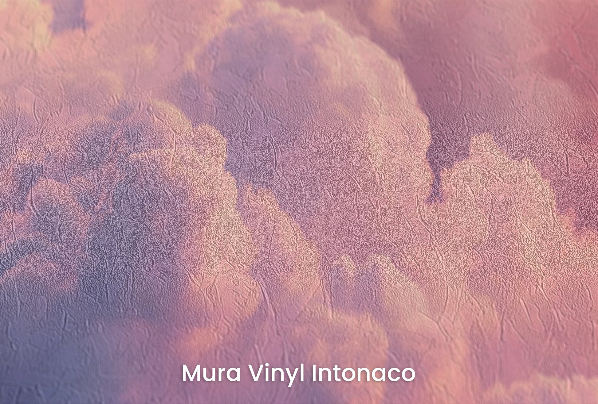 Zbliżenie na artystyczną fototapetę o nazwie Dream in Pink na podłożu Mura Vinyl Intonaco - struktura tartego tynku.