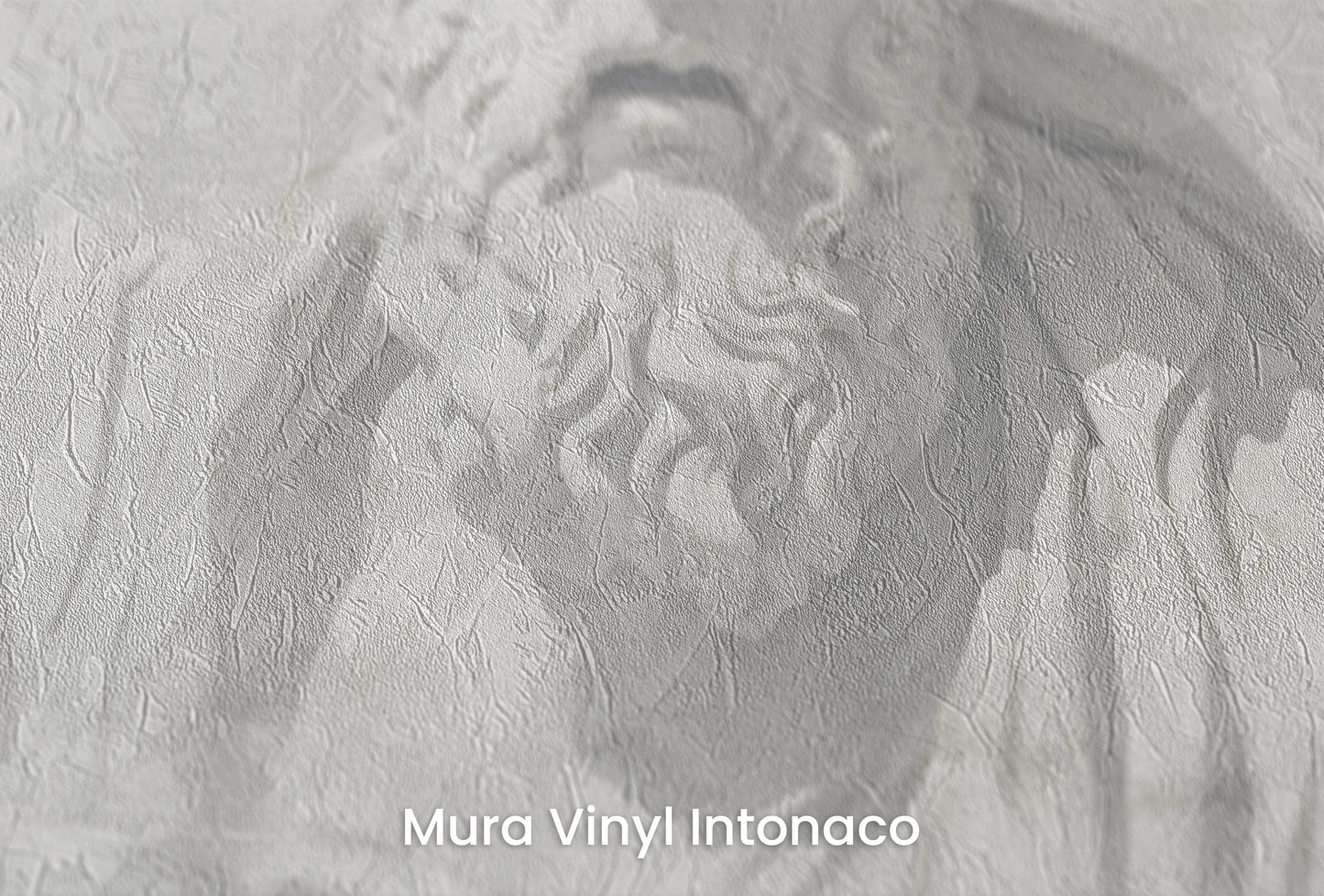 Zbliżenie na artystyczną fototapetę o nazwie Grecian Introspection na podłożu Mura Vinyl Intonaco - struktura tartego tynku.