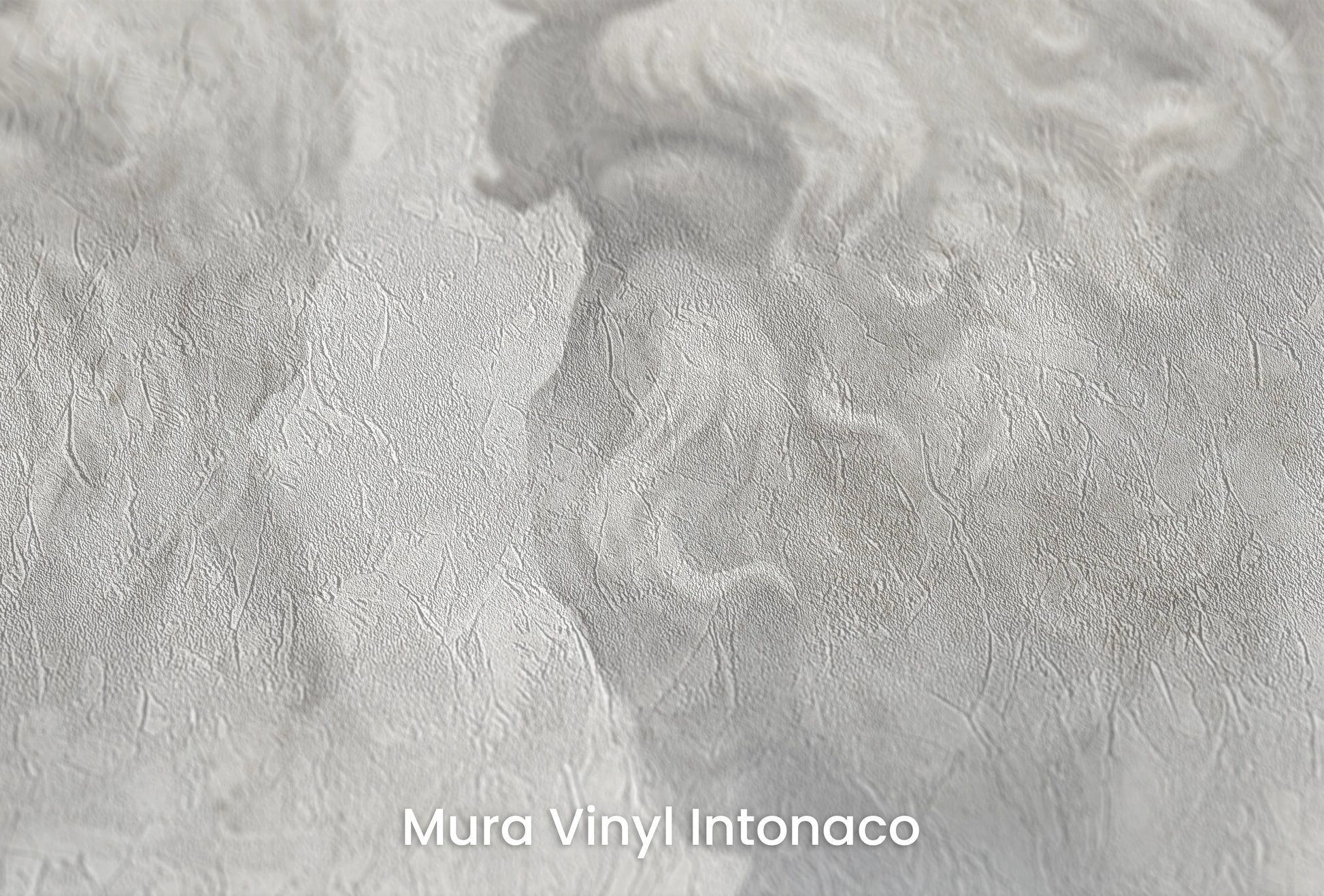 Zbliżenie na artystyczną fototapetę o nazwie Echoes of Wisdom na podłożu Mura Vinyl Intonaco - struktura tartego tynku.
