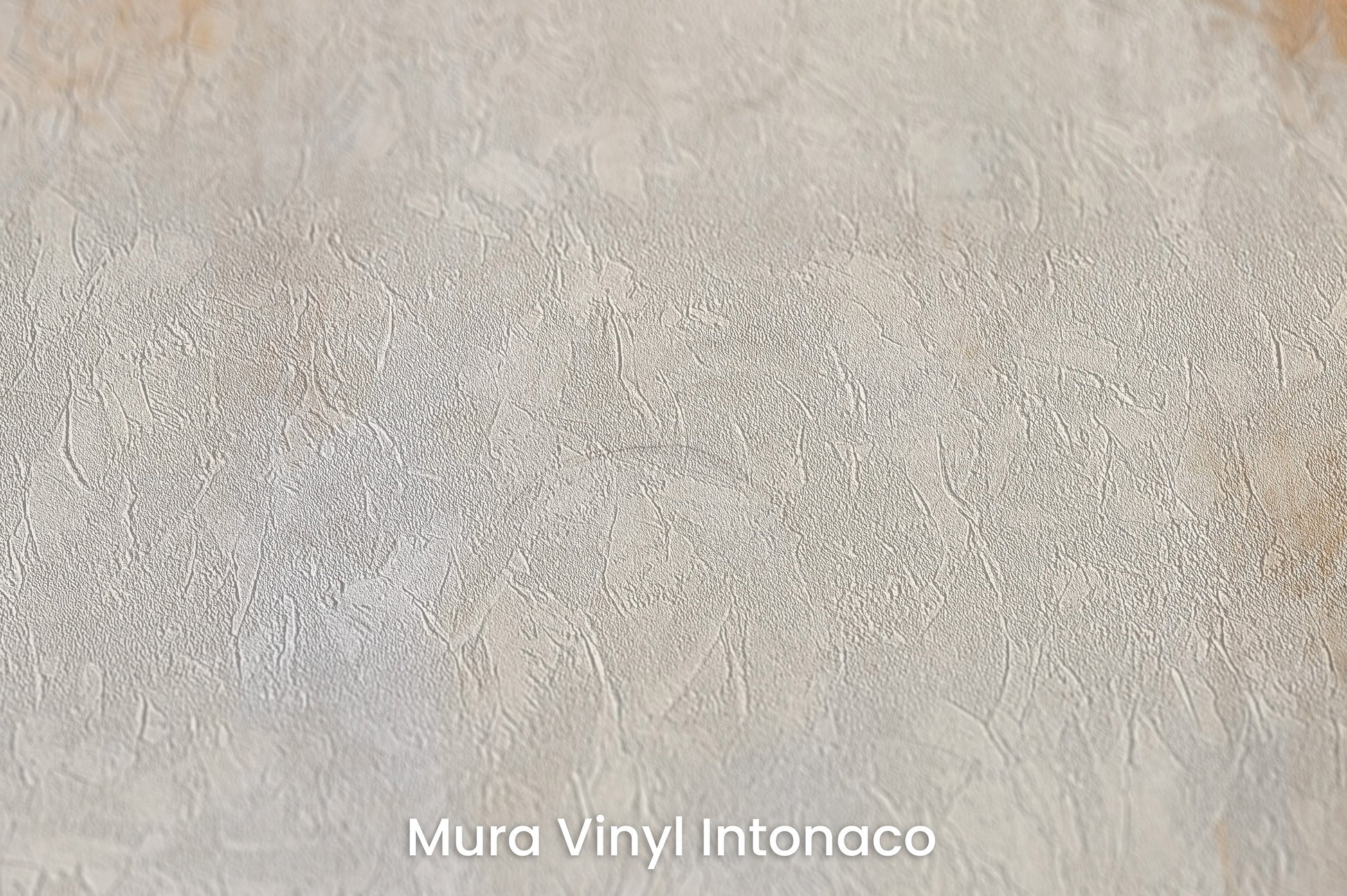 Zbliżenie na artystyczną fototapetę o nazwie ETHEREAL ECHOES ARTISTRY na podłożu Mura Vinyl Intonaco - struktura tartego tynku.