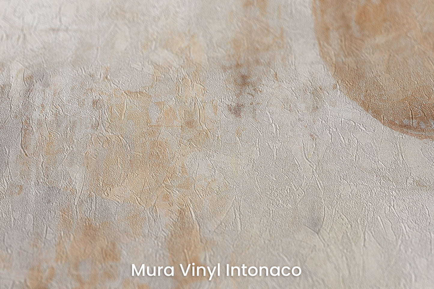Zbliżenie na artystyczną fototapetę o nazwie GOLDEN SOLITUDE CANVAS na podłożu Mura Vinyl Intonaco - struktura tartego tynku.