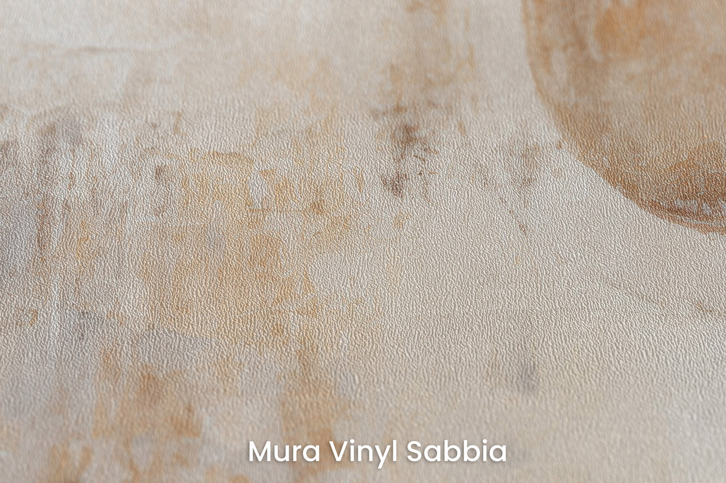 Zbliżenie na artystyczną fototapetę o nazwie GOLDEN SOLITUDE CANVAS na podłożu Mura Vinyl Sabbia struktura grubego ziarna piasku.