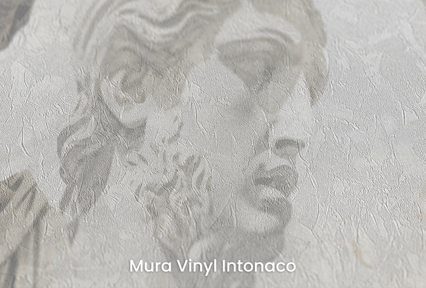 Zbliżenie na artystyczną fototapetę o nazwie Apollo's Contemplation na podłożu Mura Vinyl Intonaco - struktura tartego tynku.