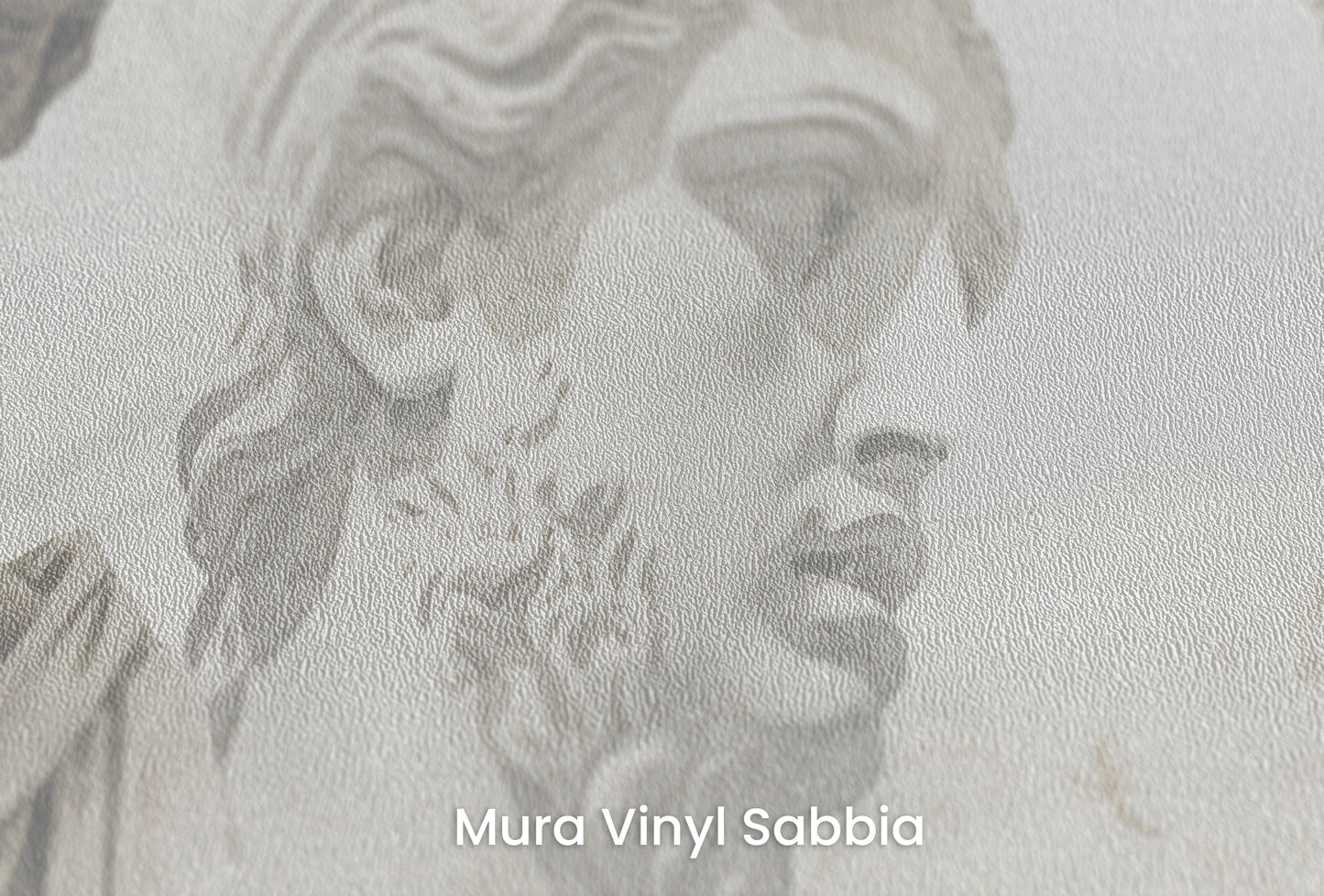 Zbliżenie na artystyczną fototapetę o nazwie Apollo's Contemplation na podłożu Mura Vinyl Sabbia struktura grubego ziarna piasku.