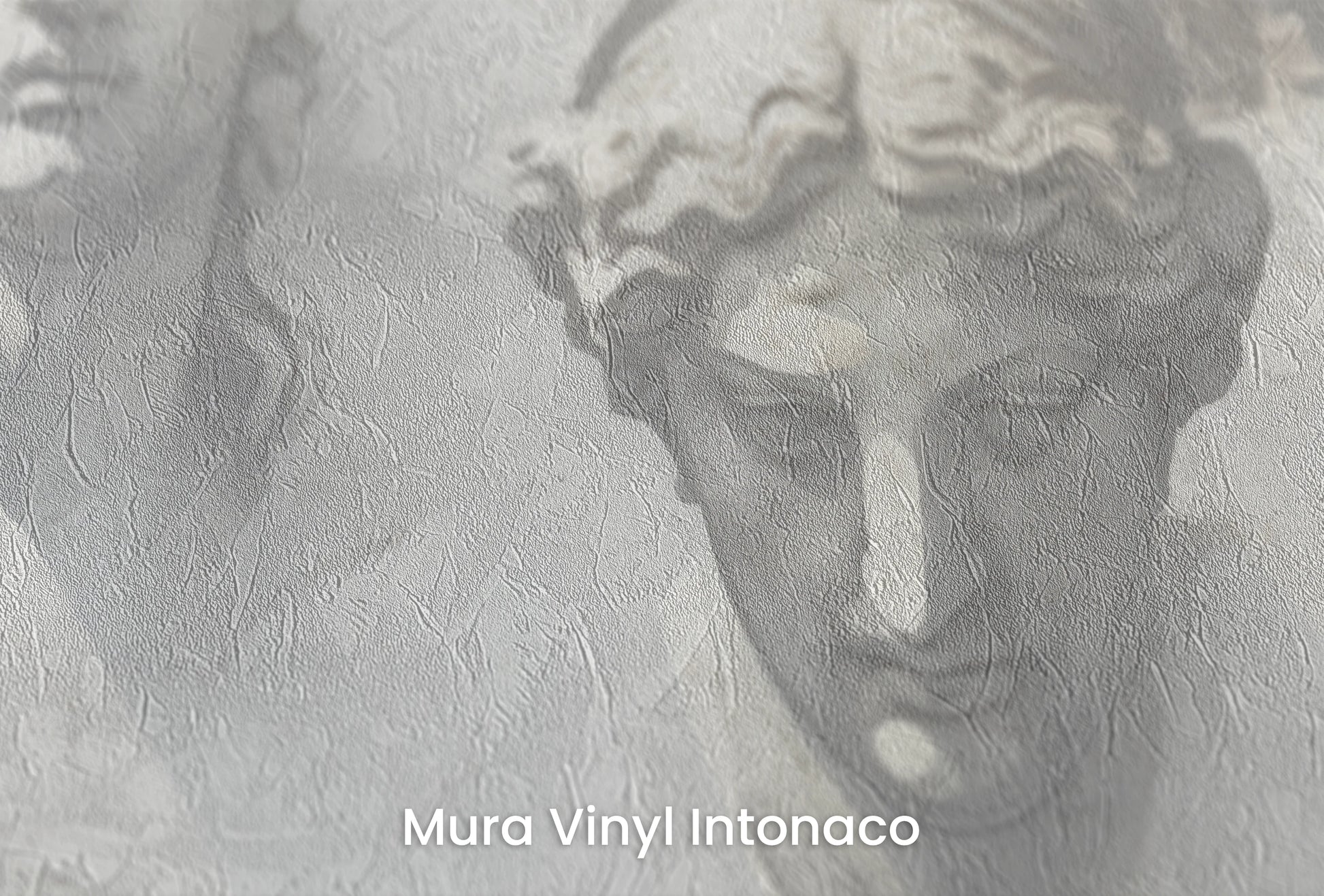 Zbliżenie na artystyczną fototapetę o nazwie The Muses' Grace na podłożu Mura Vinyl Intonaco - struktura tartego tynku.