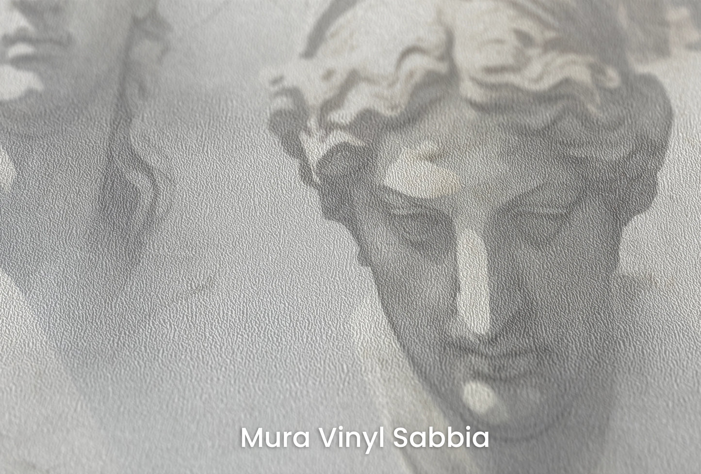 Zbliżenie na artystyczną fototapetę o nazwie The Muses' Grace na podłożu Mura Vinyl Sabbia struktura grubego ziarna piasku.