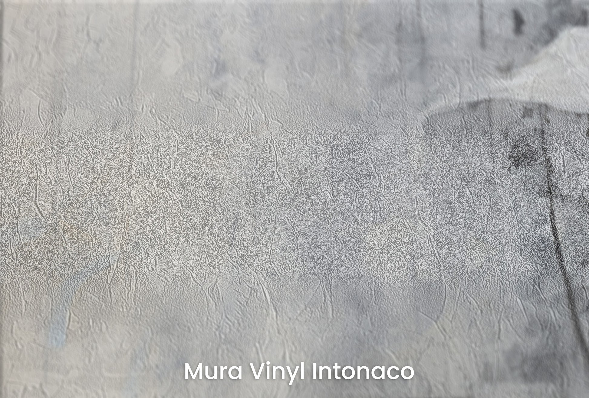 Zbliżenie na artystyczną fototapetę o nazwie SOFTLY SPEAKING SILHOUETTES na podłożu Mura Vinyl Intonaco - struktura tartego tynku.