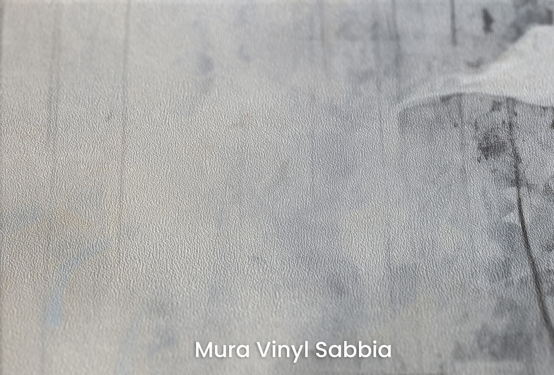 Zbliżenie na artystyczną fototapetę o nazwie SOFTLY SPEAKING SILHOUETTES na podłożu Mura Vinyl Sabbia struktura grubego ziarna piasku.