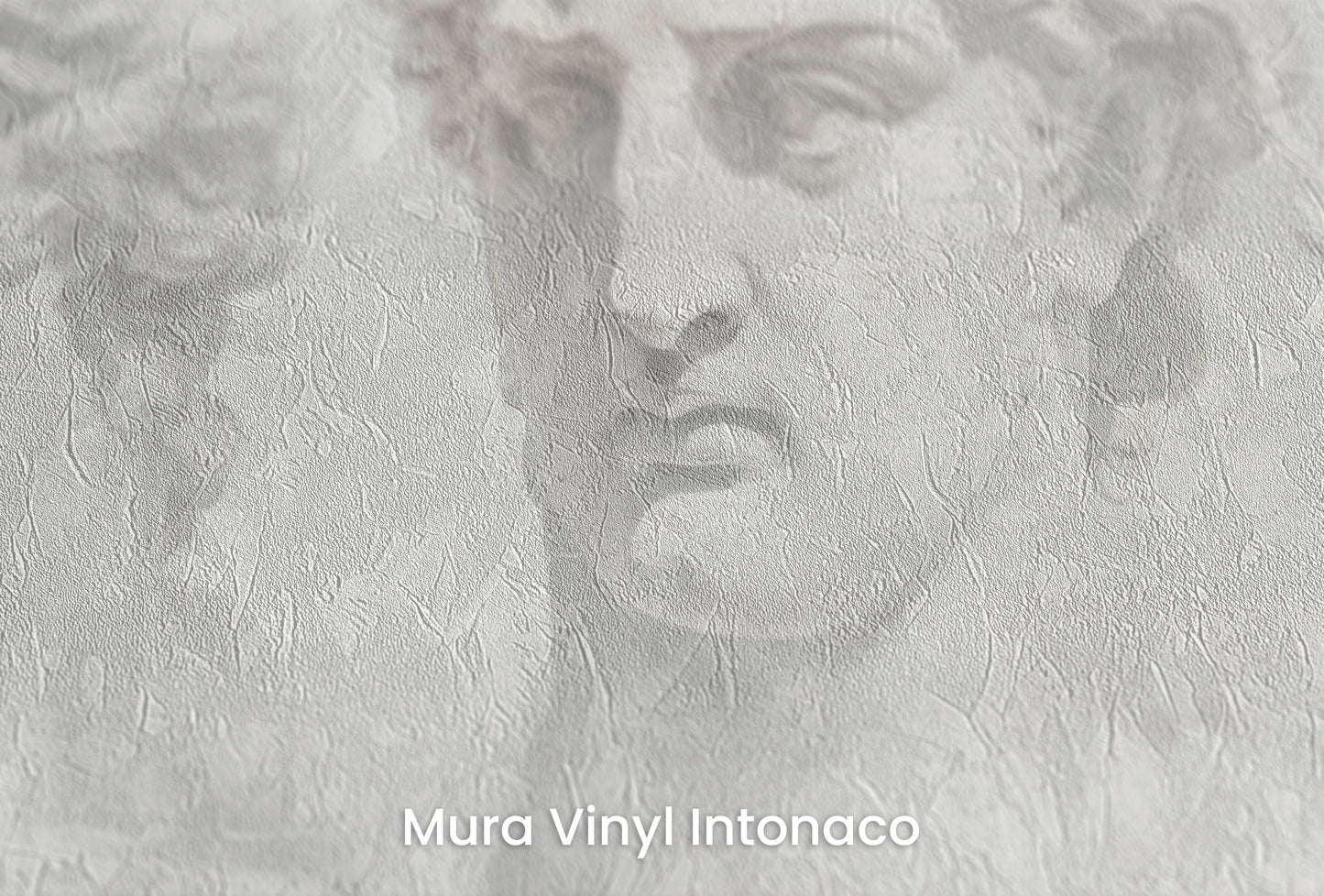 Zbliżenie na artystyczną fototapetę o nazwie Sorrow of Niobe na podłożu Mura Vinyl Intonaco - struktura tartego tynku.