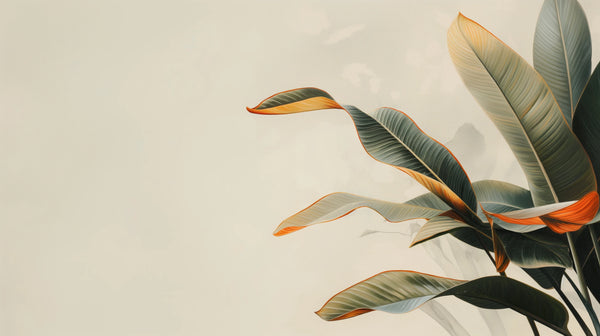 Touche Tropicale - papier peint moderne en feuilles tropicales dans un style minimaliste