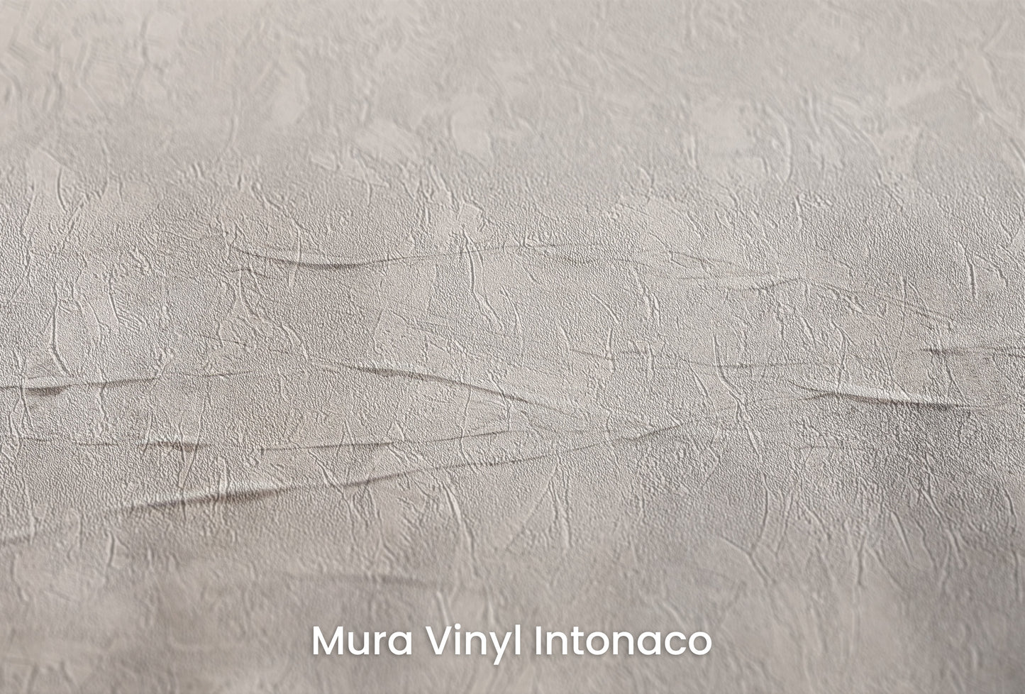 Zbliżenie na artystyczną fototapetę o nazwie WHISPERING SHADOWS na podłożu Mura Vinyl Intonaco - struktura tartego tynku.