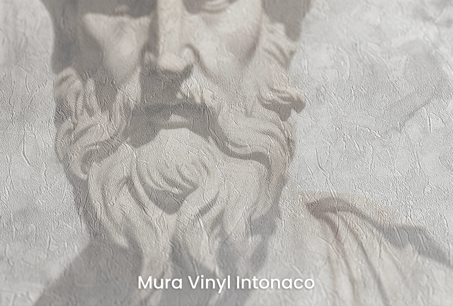 Zbliżenie na artystyczną fototapetę o nazwie Zeus's Deliberation na podłożu Mura Vinyl Intonaco - struktura tartego tynku.