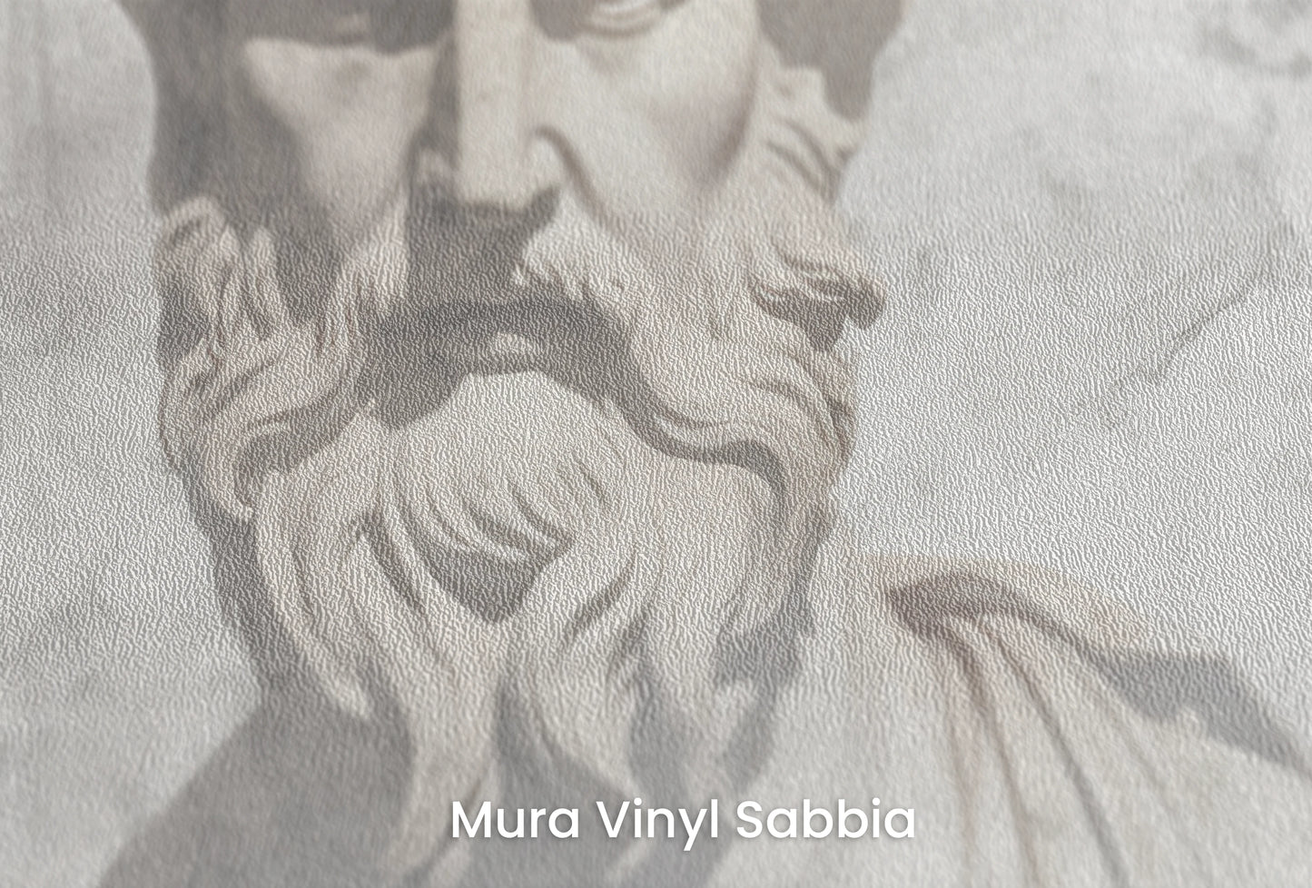Zbliżenie na artystyczną fototapetę o nazwie Zeus's Deliberation na podłożu Mura Vinyl Sabbia struktura grubego ziarna piasku.