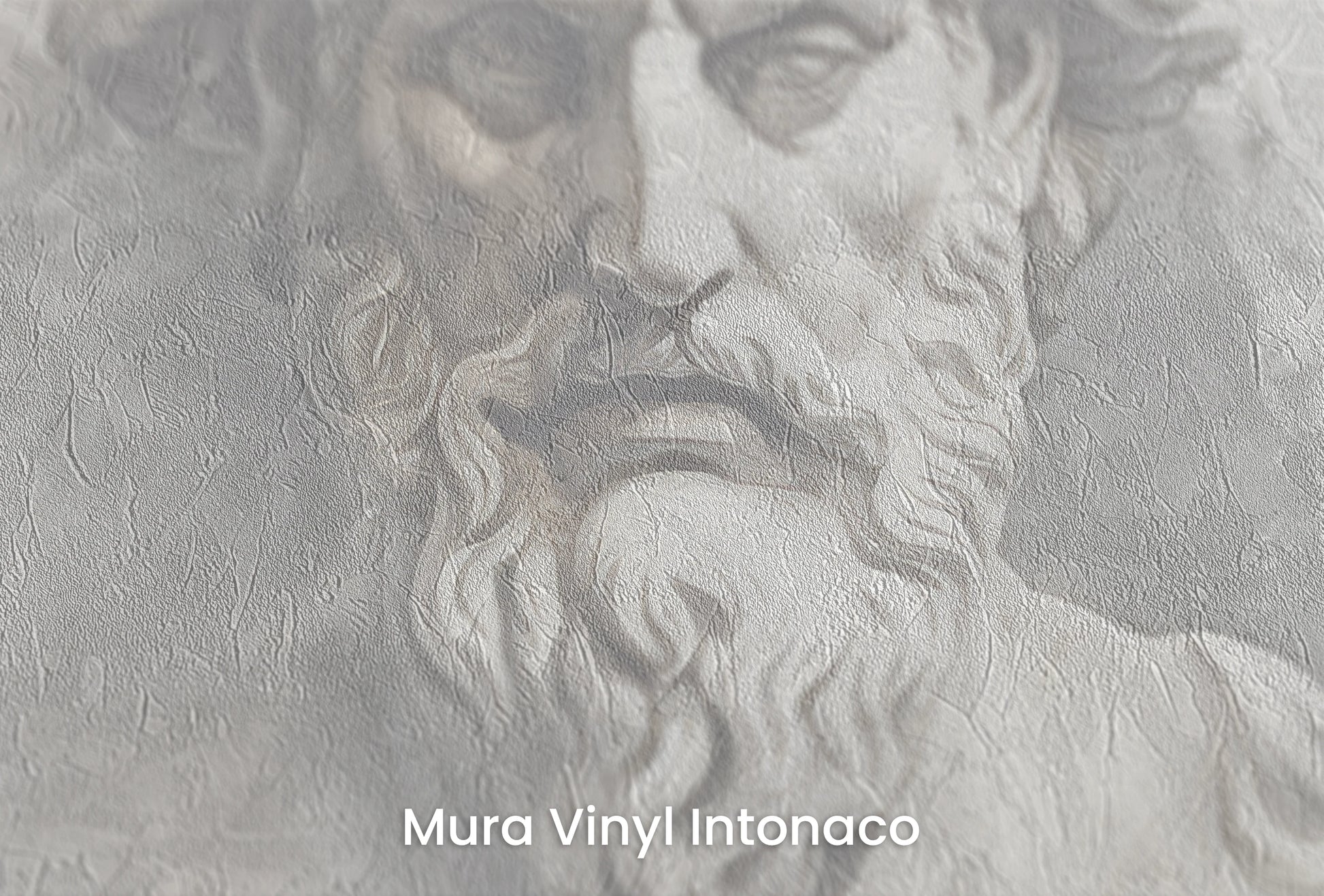 Zbliżenie na artystyczną fototapetę o nazwie Zeus's Majesty na podłożu Mura Vinyl Intonaco - struktura tartego tynku.