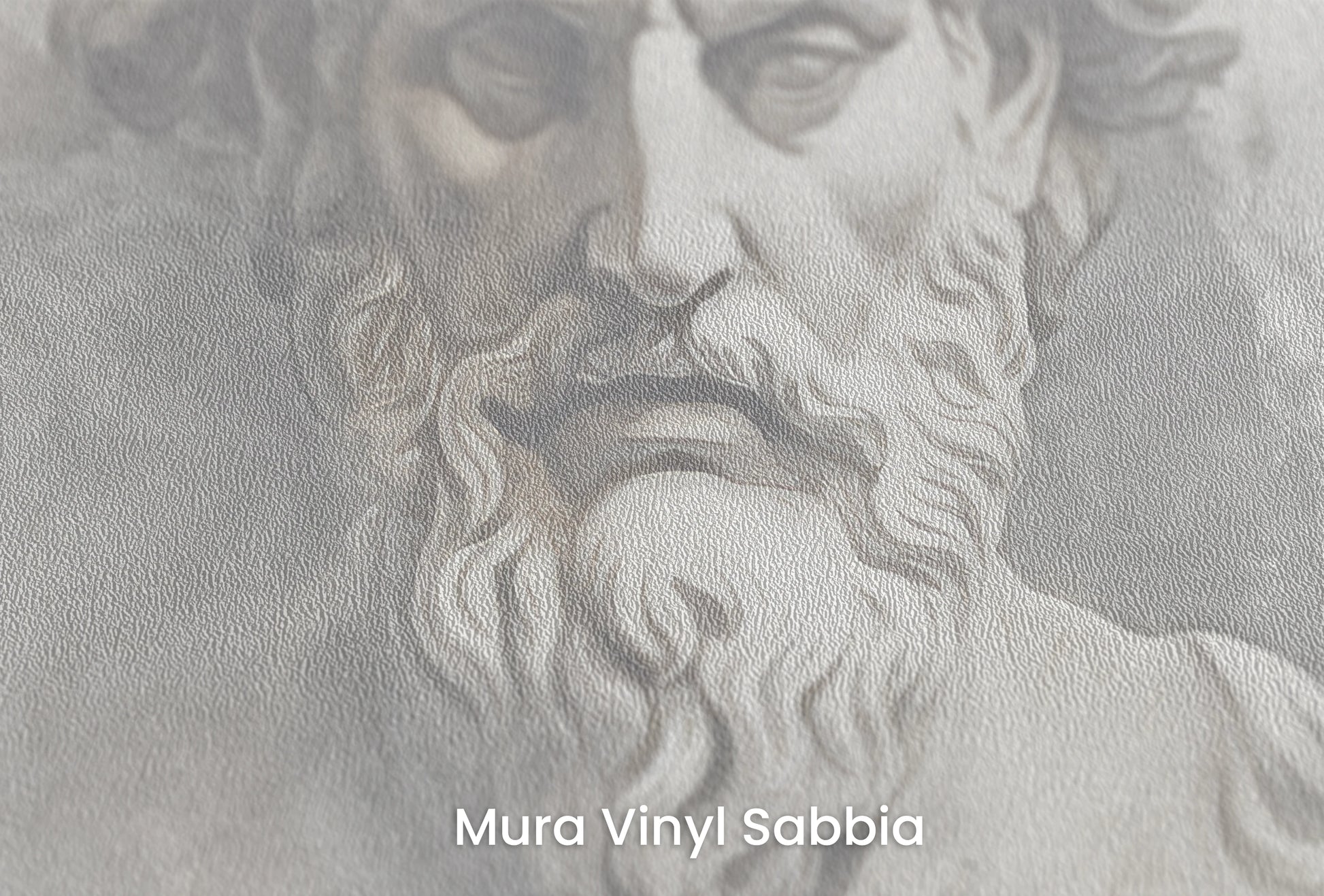 Zbliżenie na artystyczną fototapetę o nazwie Zeus's Majesty na podłożu Mura Vinyl Sabbia struktura grubego ziarna piasku.